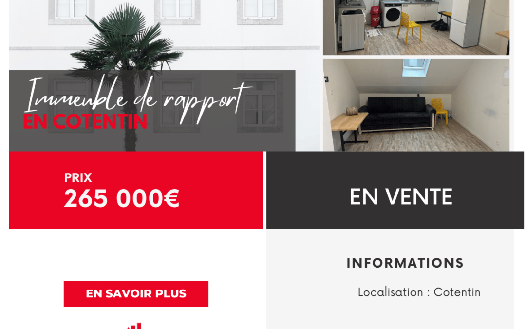IMMEUBLE DE RAPPORT MIXTE