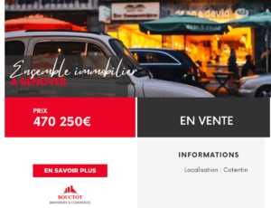 ENSEMBLE IMMOBILIER A RENOVER PLEIN CENTRE VILLE
